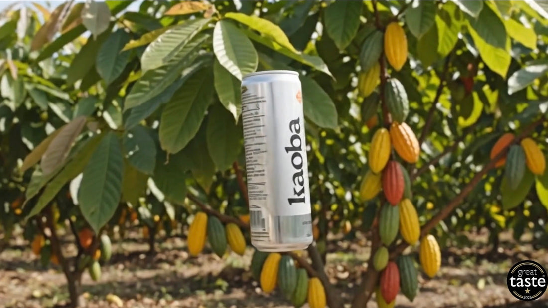 Why Kaoba Stays at 45% Cacaofruit Juice – No Compromises on Taste, Quality or Sustainability