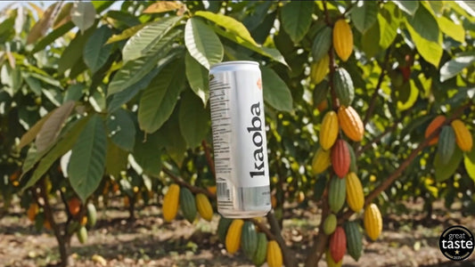 Why Kaoba Stays at 45% Cacaofruit Juice – No Compromises on Taste, Quality or Sustainability